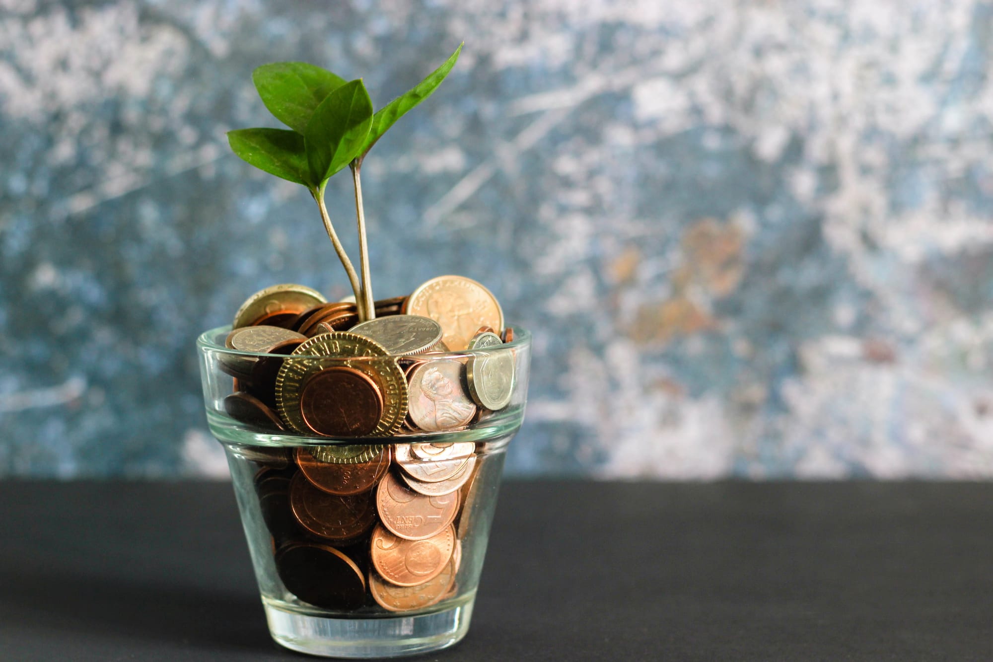 Line-Item Budgeting: Is This Big-Picture Budget Right for You?