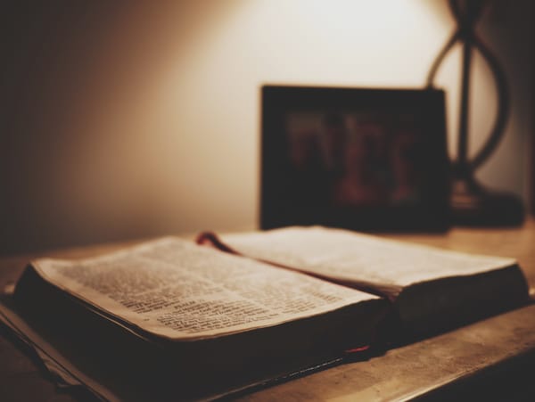 How to Read the Bible and Not Get Bogged Down